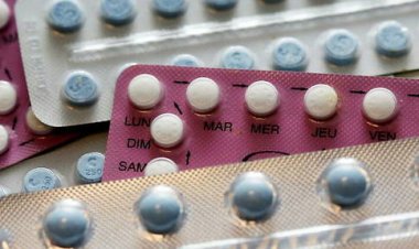 Contraception : une pilule masculine testée à 99% sur les souris
