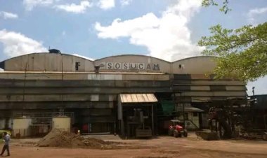 Cameroun - Industrie : Reprise d'activité de l'usine Sosucam de Mbandjock