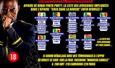 Dubaï Porta Potty :la liste des pays africains impliqués (enfin) dévoilée
