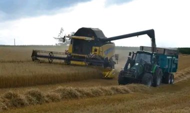 18 signes que les pénuries alimentaires vont empirer à mesure que nous nous dirigeons vers la 2e moitié de 2022