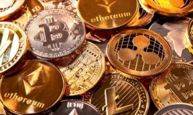 La Banque des Règlements Internationaux mise  sur les monnaies numériques des banques centrales