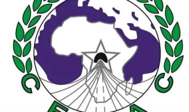 CEMAC - Rapratriement des fonds publics : Le Comité de pilotage des Réformes Économiques et Financières met la pression