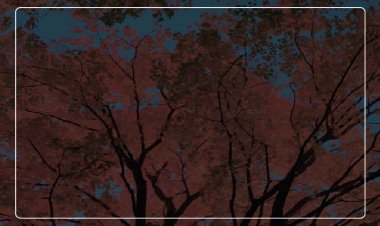 Deux grands-meres parlent  de leurs souvenirs : "De nos jours, les jeunes ont des relations  s£xu€lles avant le mariage"