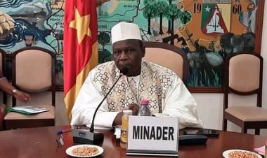 Cameroun - Agriculture : Une solution potentielle à la crise mondiale des engrais