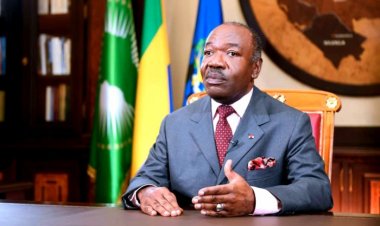 Pensée Azizetique/ CNSS : Ali Bongo Ondimba vilipendé à cause des agents véreux tapis au sein de la direction générale ?