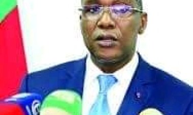Cameroun - Paludisme : L'impérieuse nécessité de transférer la gestion de la lutte antipaludique aux CTD