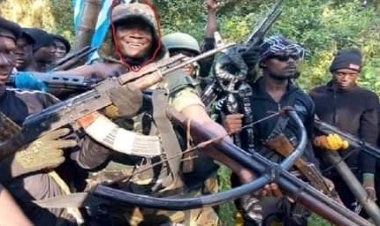 Massacre de Akwaya : les larmes de crocodile. Qui est responsable de la construction du monstre de Frankenstein camerounais ?