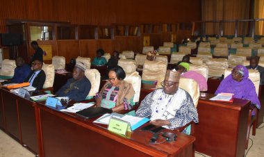 Cameroun / Activités parlementaires : le programme officiel de la séance du mardi, 05 juillet 2011 ( Documents )