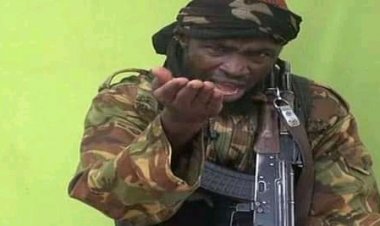 Analyse - Terrorisme/Contre-terrorisme: Boko Haram secte  terroriste ou islamique ?