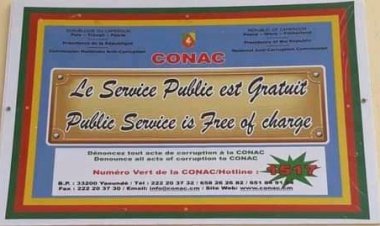 Analyse - Corruption : Les causes au Cameroun