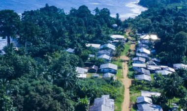Cameroun - Ebodje : Le paradis des tortues marines en danger