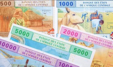 Zone CEMAC : de nouvelles coupures de pièces et de billets présentées à cette date