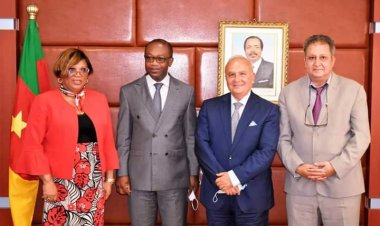 Cameroun - Coopération : Une mission de l'Onudi chez le Minpmeesa