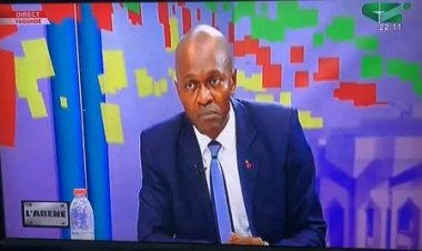 Analyse - Diplomatie :  MACRON EMMANUEL AU CAMEROUN OU LA RENCONTRE DE DEUX COLÈRES ET UNE PEUR: Comment sauver la Colombe des morsures de serpents!!!