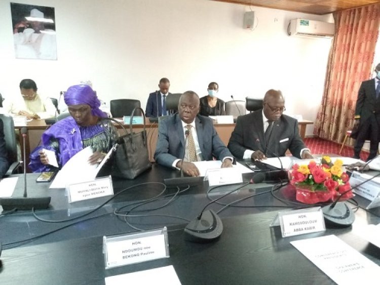 Cameroun - Activités parlementaires : les dernières infos de l'Assemblée nationale
