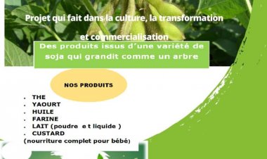 Start-up - Made in Cameroon : T-SOJA, le projet aux multiples facettes