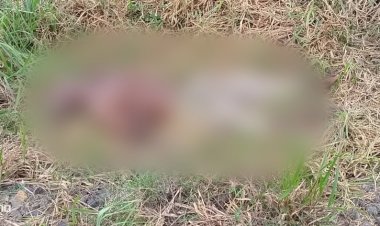 Au Cameroun, l'attaque d'un poste armé à l'Ouest du pays fait au moins trois morts