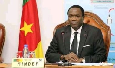Cameroun - Faux diplômes : Radiation au sein de nos forces de défense et de sécurité : qu'en est-il réellement ?