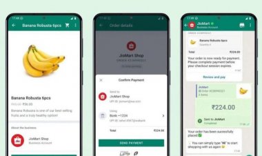 Technologie : Faire du shopping sur WhatsApp ? Ce sera bientôt possible