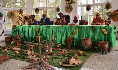 Foire du manioc et de ses dérivés : la sixième édition prend corps