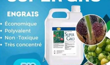 Maladies des plantes : Découvrez le spécial engrais organique liquide Super Gro