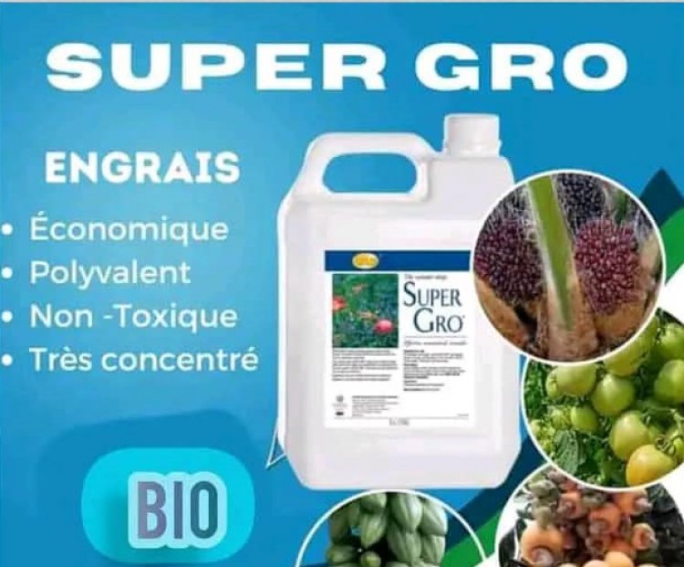 Maladies des plantes : Découvrez le spécial engrais organique liquide Super Gro