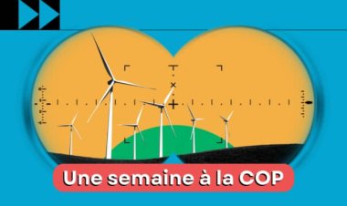 COP 27 : le rapport de la semaine ( 07 au 11 novembre 2022 )