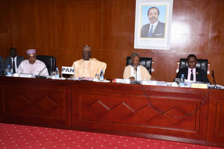 National Assembly: Honorable President of the National Assembly Cavaye Yeguie Djibril alongside the members of the Finance and Budget Committee