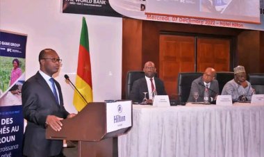Cameroun : la Banque Mondiale présente son Rapport diagnostic du secteur privé