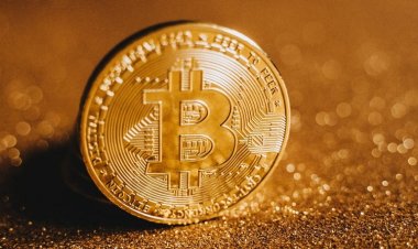 Cryptomonnaie : Zoom sur les stablecoins