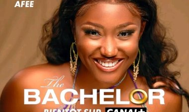 Série Bachelor : la dérive de Canal + en Afrique francophone