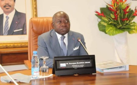Conseil Régional du Sud : Georges Elanga Obam cloué au pilori