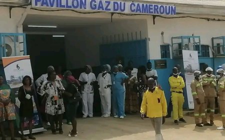 Partenariat public-privé : l'exemple qui vient de l'hôpital de district de Logbaba