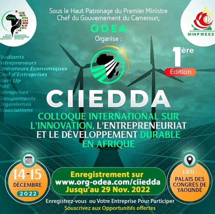 CIIEDDA 2022 : les initiatives de l'Afrique pour la promotion de l'investissement dans le secteur énergétique