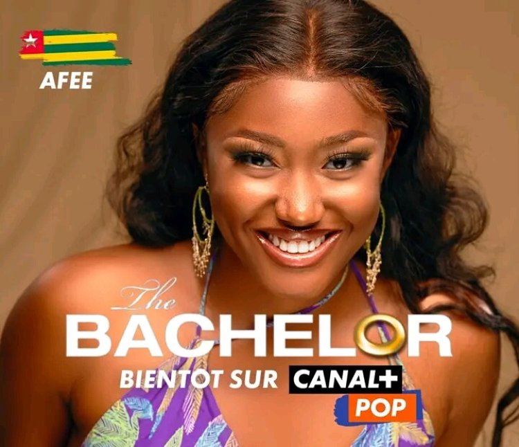 Série Bachelor : la dérive de Canal + en Afrique francophone
