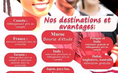 Opportunité : Comment  étudier et travailler au Canada en 2023 ?