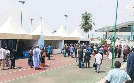 Cameroun - Secteur portuaire / CCO'PAD : 20 ans déjà que ça dure
