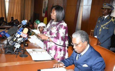 Cameroun : l'Assemblée nationale reprend du service