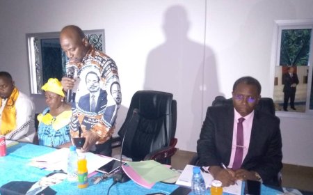 Cameroun - Sénatoriales dans le Sud : Lokoundje milite pour un sans-faute du RDPC