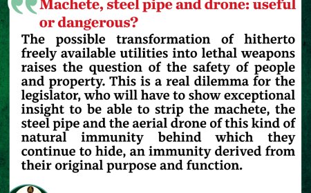 Machete, steel pipe and drone: useful or dangerous ?