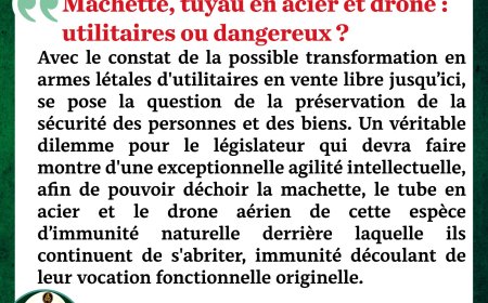Machette, tuyau en acier et drone : utilitaires ou dangereux ?