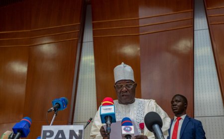 Cameroun : Les rideaux de la session de mars 2023 ont été tirés à l'Assemblée Nationale