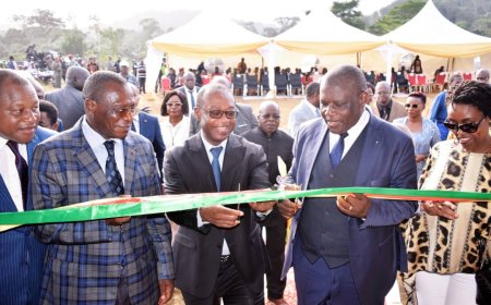 Cameroun : MINPMEESA ET MINADER pour booster l’entrepreneuriat jeune