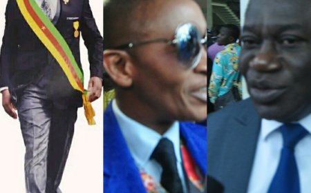 Cameroun : le Sénat affiche désormais complet