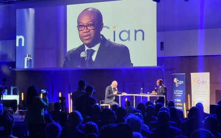 Investissement : le minpmeesa, Achille Bassilekin III, en mission de charme en France