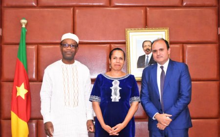 Cameroun - Coopération bilatérale :  Proparco à l'appui du minpmeesa