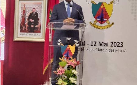 Forum des affaires Maroc-Cameroun : Interview du ministre Achille BASSILEKIN III