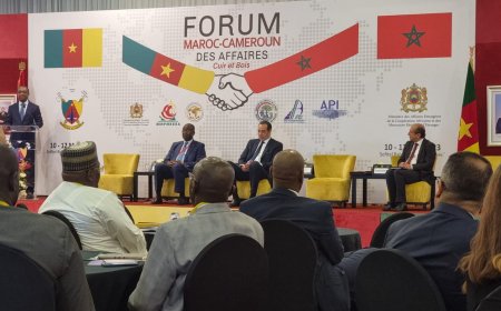 Coopération économique Maroc-Cameroun : les secteurs du bois et du cuir en vitrine