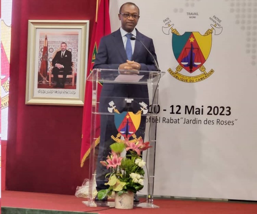 Forum des affaires Maroc-Cameroun : Interview du ministre Achille BASSILEKIN III