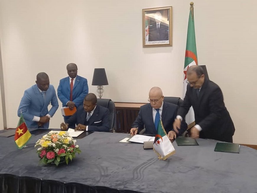 Cooperation: Cameroon and Algeria sign framework agreement in the fields of transport and meteorology